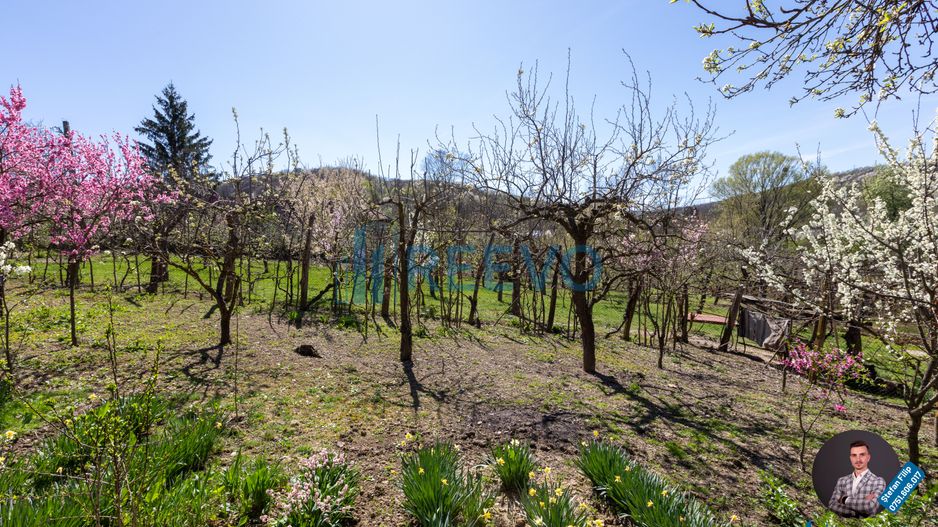 Casă și teren de vânzare, sat Buda, Blăgești, Bacău - Poză 22