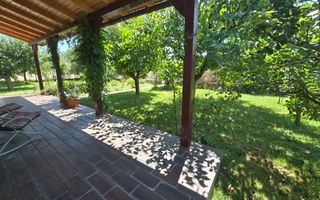 Casa 5 Camere, Zona Alba Micesti,  660 mp Teren - Poză 49