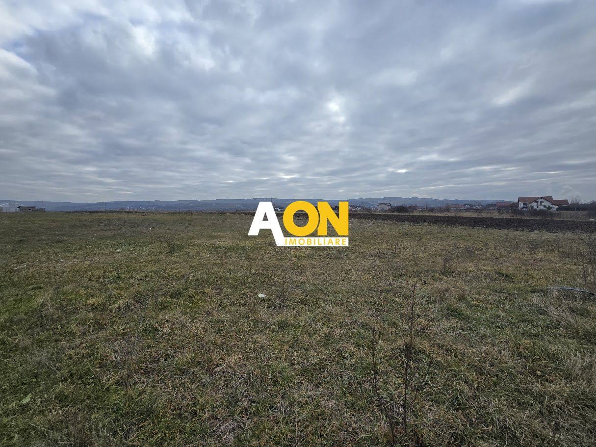 Teren Intravilan 10.000MP Zona Partos - Poză 2