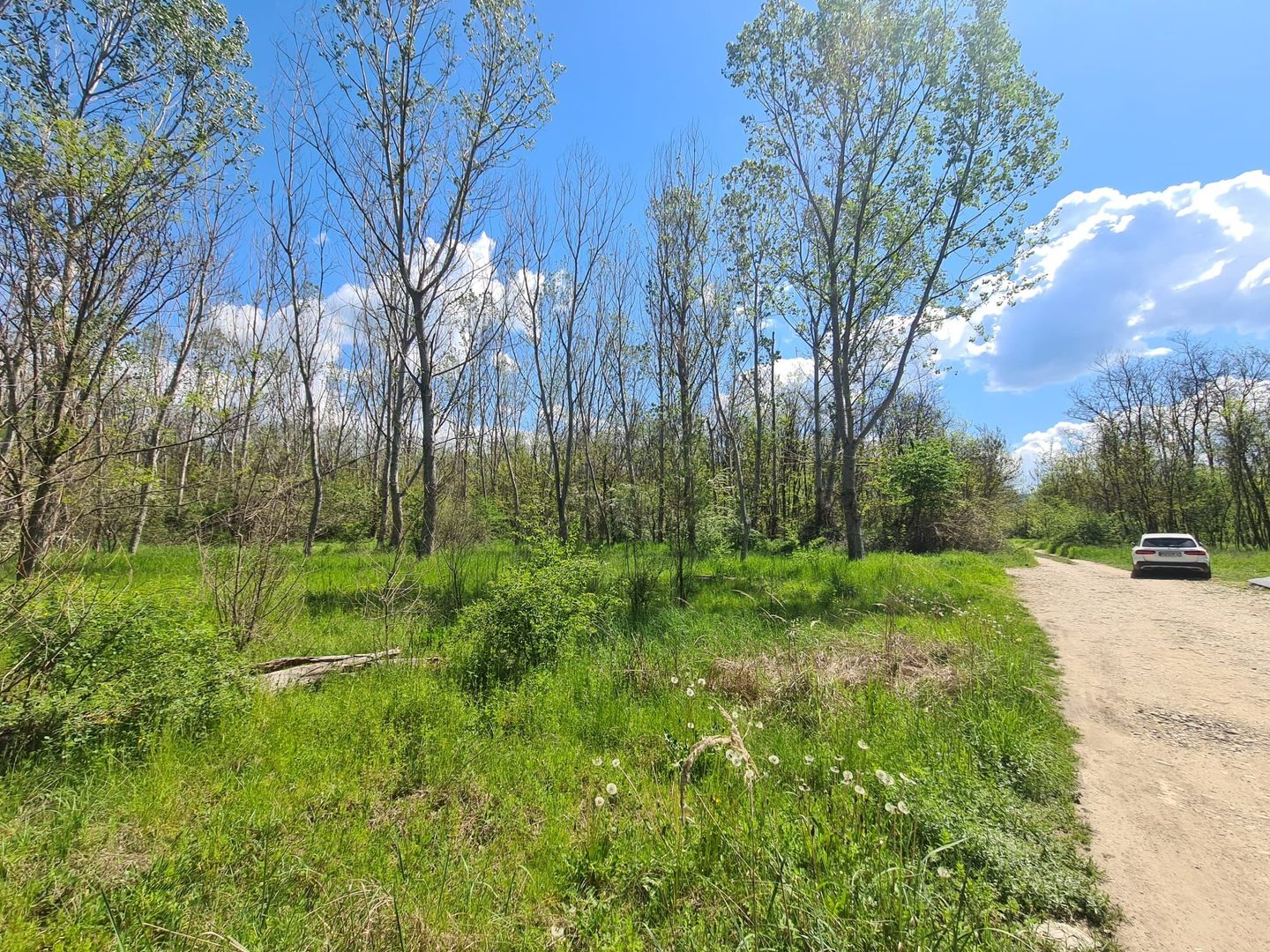 Teren de vanzare / Dem Radulescu - Poză 7