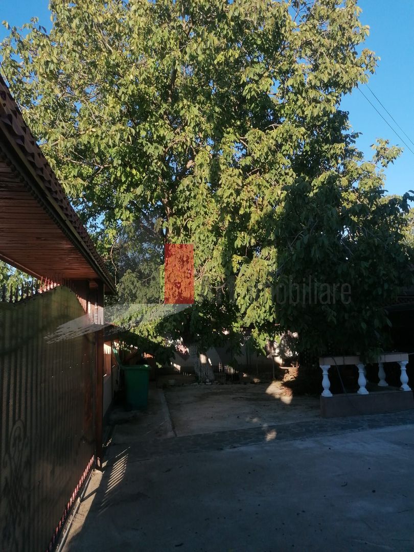 Dascalu-lfov-Vila D+P+M-5 camere-Locatie Deosebita - comision 0 - Poză 9