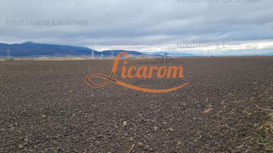 Teren extravilan 2,9 HA,intre Cristian si Vulcan - Poză 4