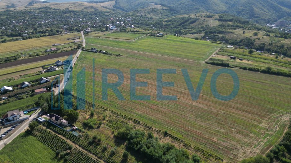 Teren de vânzare, Com. Sarata, Jud. Bacău - Poză 4