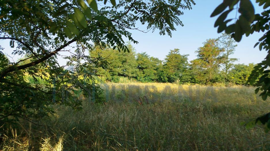 Teren intravilan de vânzare, Ruginoasa, aproape de DN28A - Poză 1