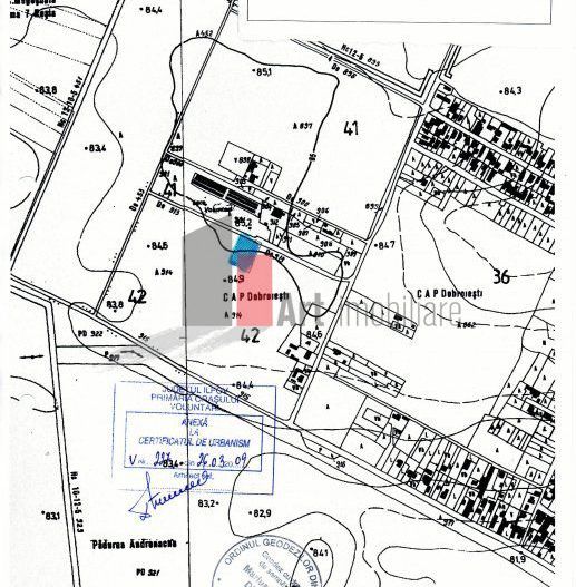 Teren Intravilan Matei Milo - Poză 2