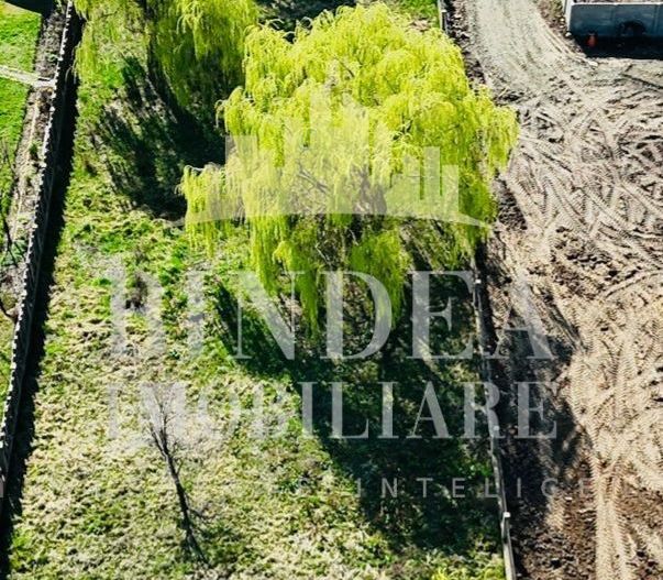 Casa individuala P+ M Giarmata, vatra satului 1496mp teren - Poză 7