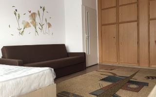 Apartament de inchiriat cu 1 camera ,aproape de USAMV - Poză 3