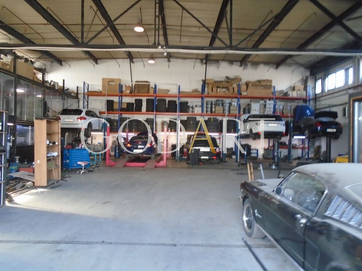 Proprietate Industrială de Vânzare | Poziție Premium - Poză 20