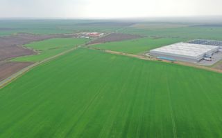 Teren industrial Dudestii Noi - Poză 10