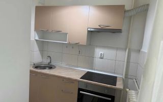 1 camera,  etaj 5/9, mobilat si utilat, Tatarasi - Flora - Poză 3