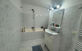 Casa Individuala | 150MPU | 494MP Teren | Sura Mare - Poză 11