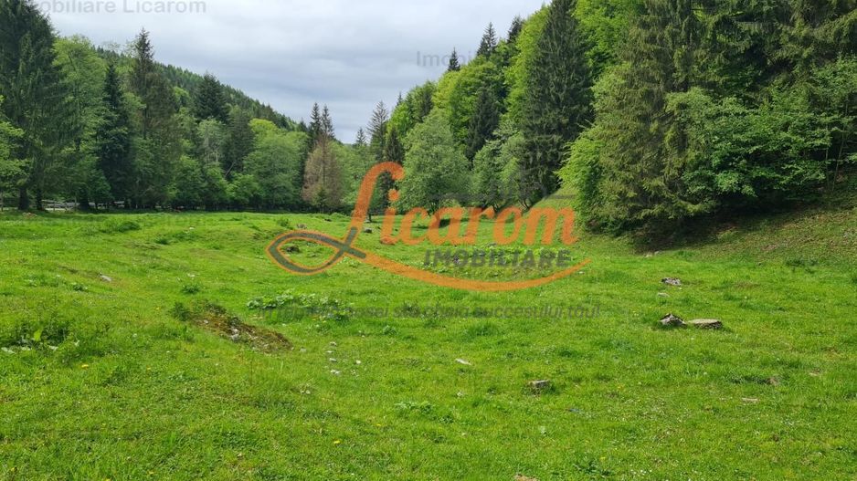 13005 mp teren faneata in Bran Simon cu fornt de 57 mp - Poză 9