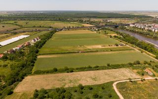 TEREN INTRAVILAN DE 4.500 MP ARADUL NOU - Poză 3