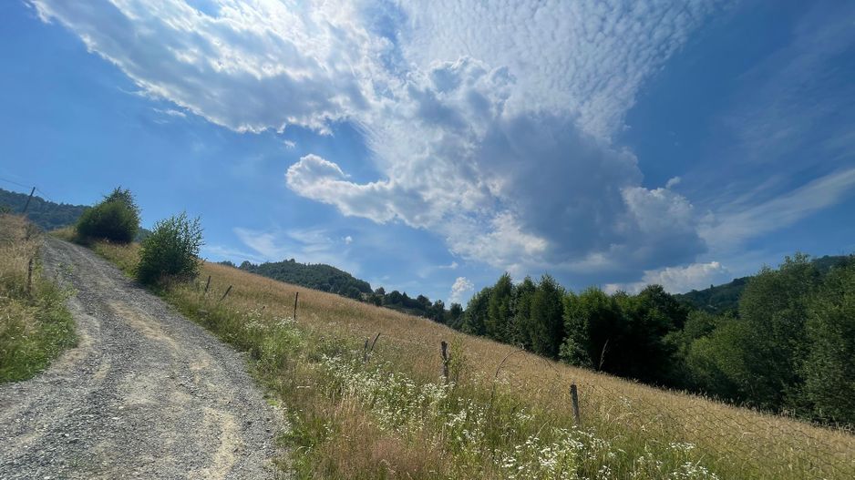 Teren intravilan I Loc deosebit, inconjurat de padure I Vladeasa - Poză 1