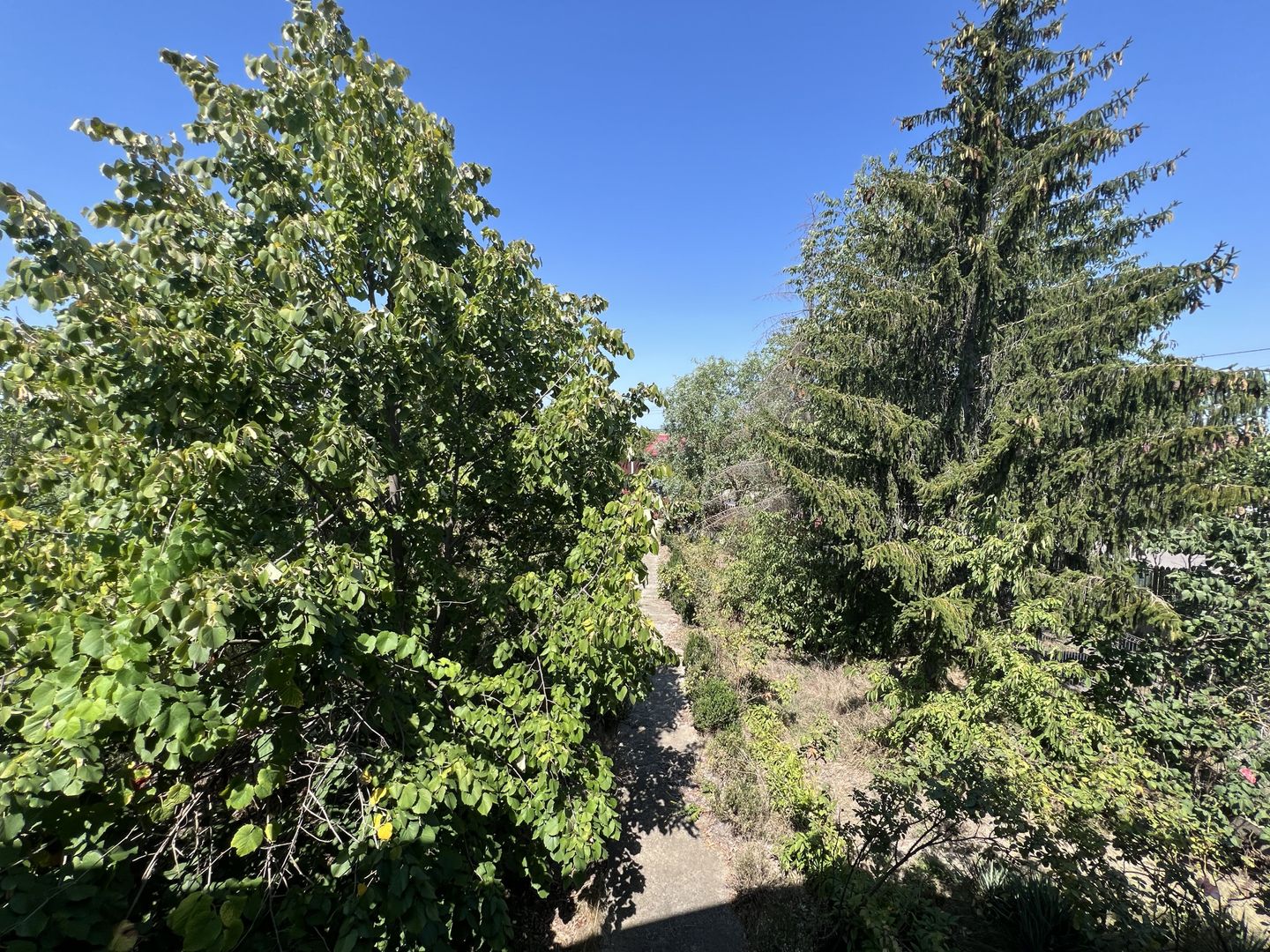 Vila superba cu teren Crevedia - Darza - Poză 32