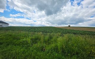 TEREN INTRAVILAN | MOARA NICA, SUCEAVA | 115.000€ - Poză 3