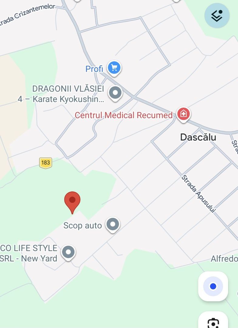 Teren intravilan 9800 mp - Dascalu - locuinte individuale - Poză 3