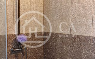 De vanzare BALTA DE PESCUIT, 3,80 ha, cabana din busteni, langa Vama Bors, Bihor - Poză 9