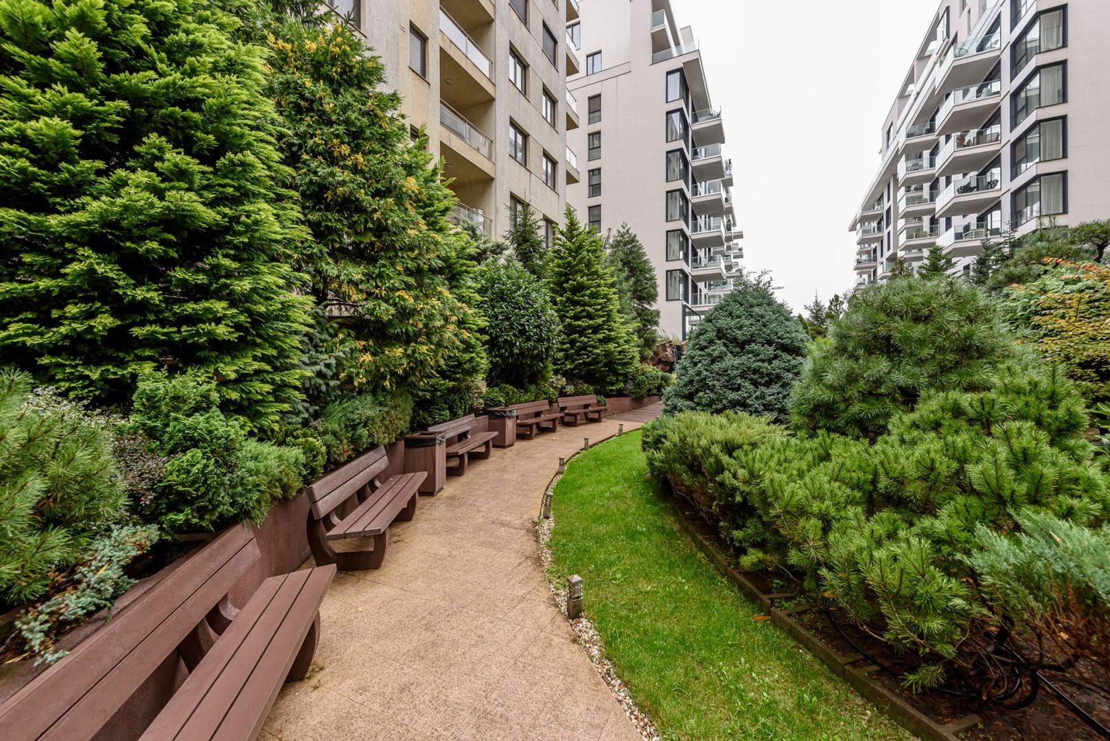 North Area Lake View - Poză 2