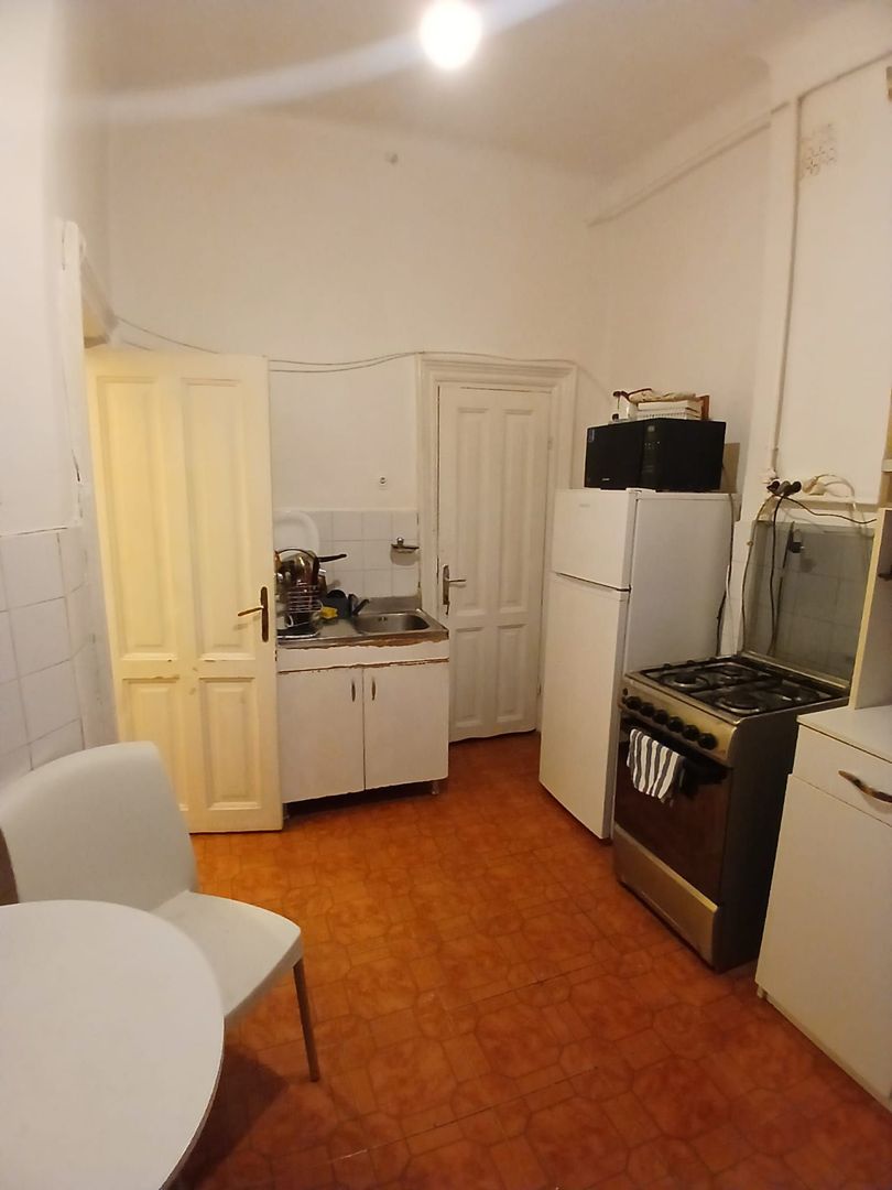 4 camere in vila | Petru Rares | Titulescu | Victoriei - Poză 6