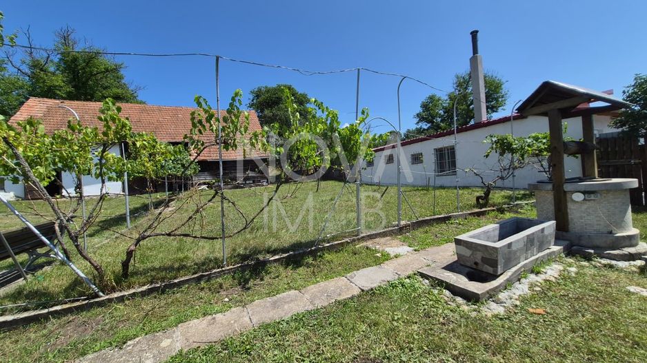 Casa individuala cu teren generos – 8.356 mp – Tichindeal, jud. Sibiu - Poză 27