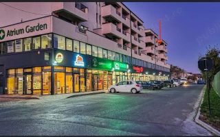 Atrium Garden, Apartament cu o cameră, Popas Păcurari, Mall Moldova - Poză 10