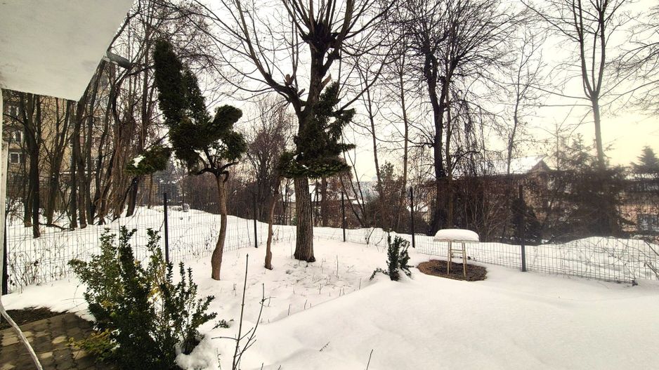 Ultracentral, apartament in casa, pretabil locuit / birouri, pet friendly. - Poză 2