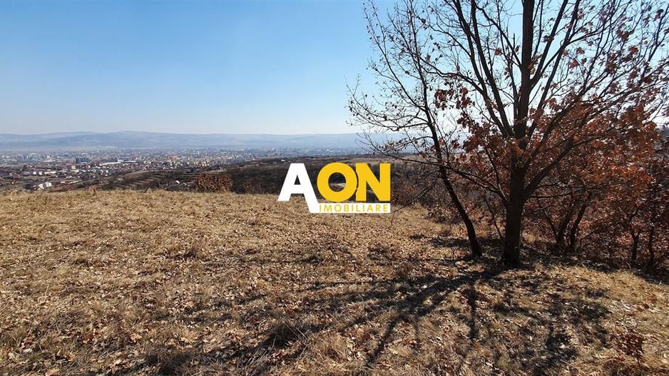 Teren ideal pentru cabana 4165 mp langa padure zona Valea Popii - Poză 3