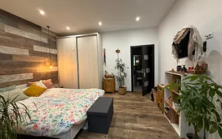 Casa Individuala Zona Schit, 4 Camere, 4 Bai, 1600mp Teren - Poză 39