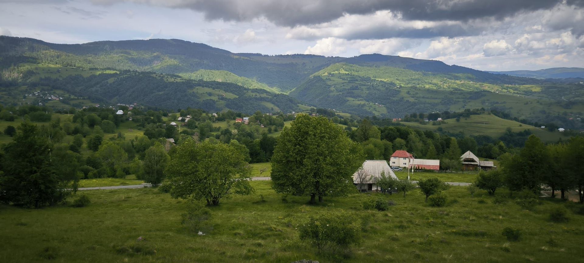 Teren Rogojel 15.000MP 8 EURO/MP - Poză 1