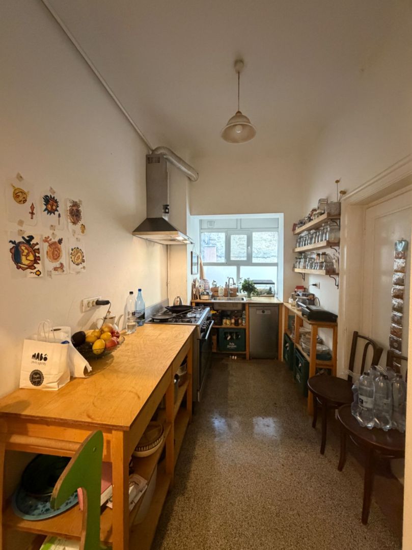 4 camere parter in vila - 2 apartamente in vila Pta Alba Iulia-Basarab - Poză 4