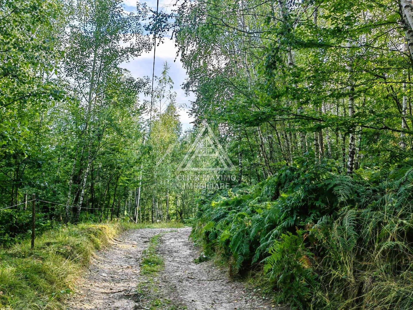 Casa,anexe si14.328 mp teren partial intravilan, com. Bulz, jud. Bihor - Poză 5