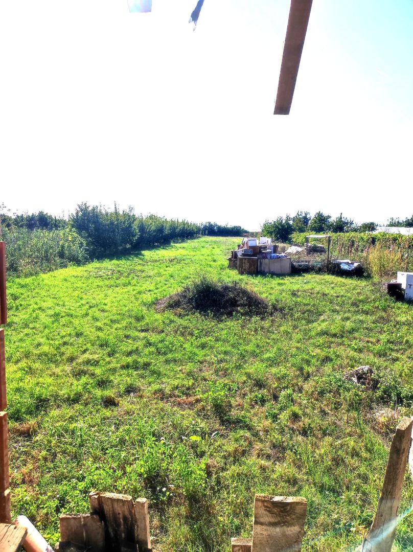 Casa Biharia - Poză 6