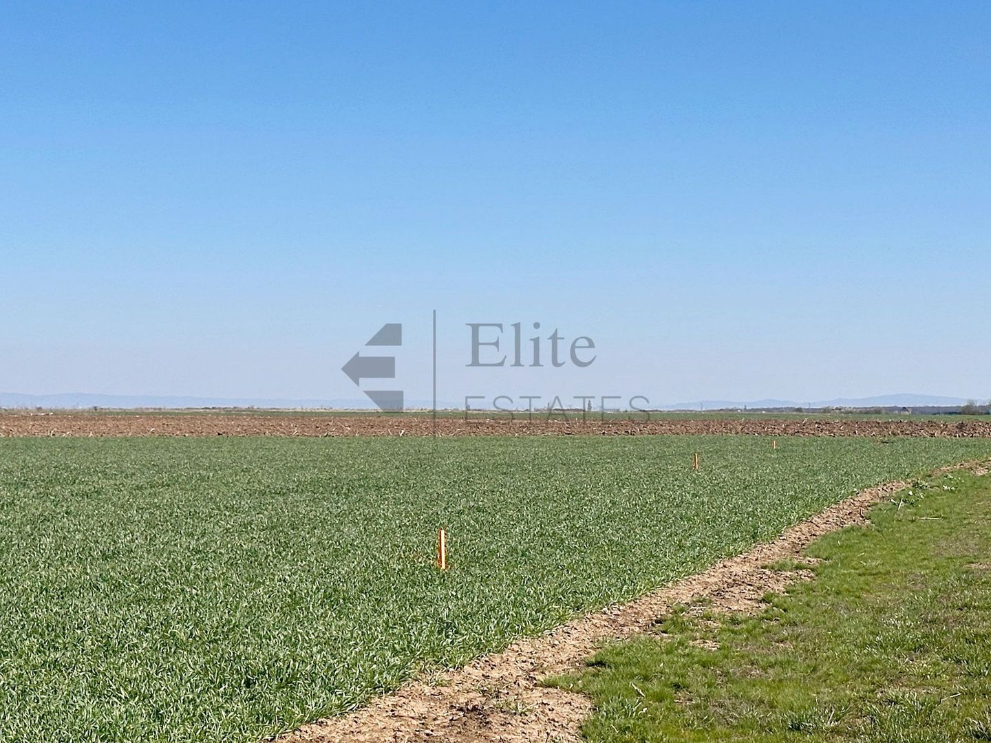 Teren 20.141 mp de vanzare in zona Aeroportului Oradea - Poză 3
