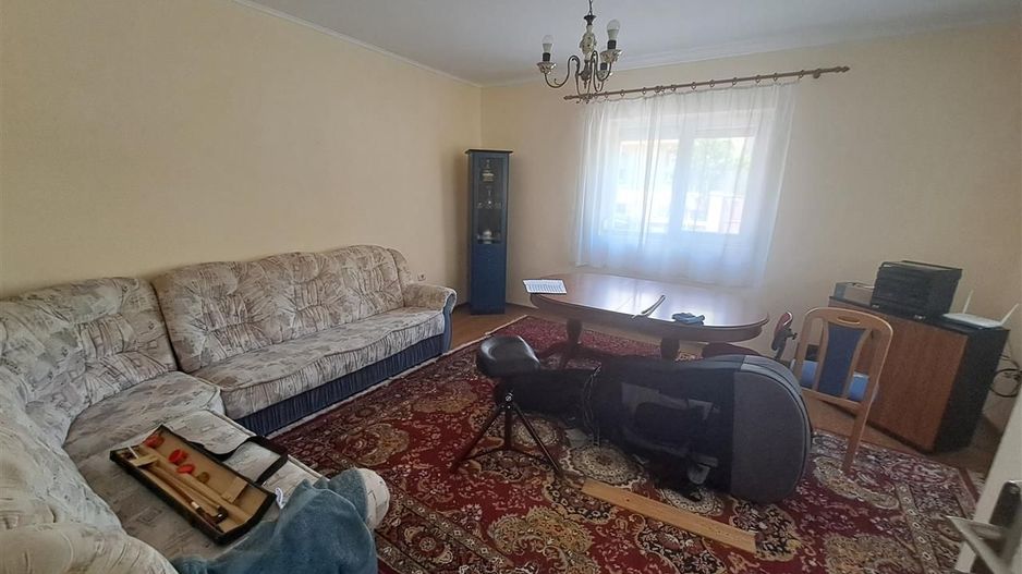 Casa individuala pe parter Sagului-Liviu Rebreanu - Poză 3