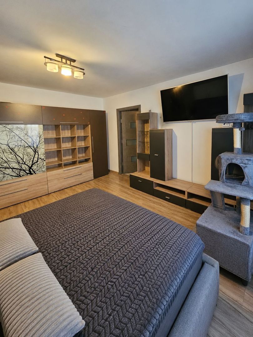 Apartament 2 camere- Rovine - Poză 2