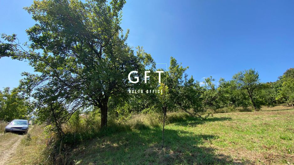 Teren intravilan 1300 mp-Viile cu Pomi-Unirea-Exclusivitate - Poză 3