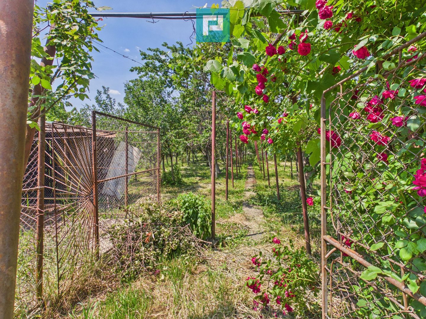 CASĂ INDIVIDUALĂ PÂRNEAVA TEREN GENEROS 846 MP - Poză 6