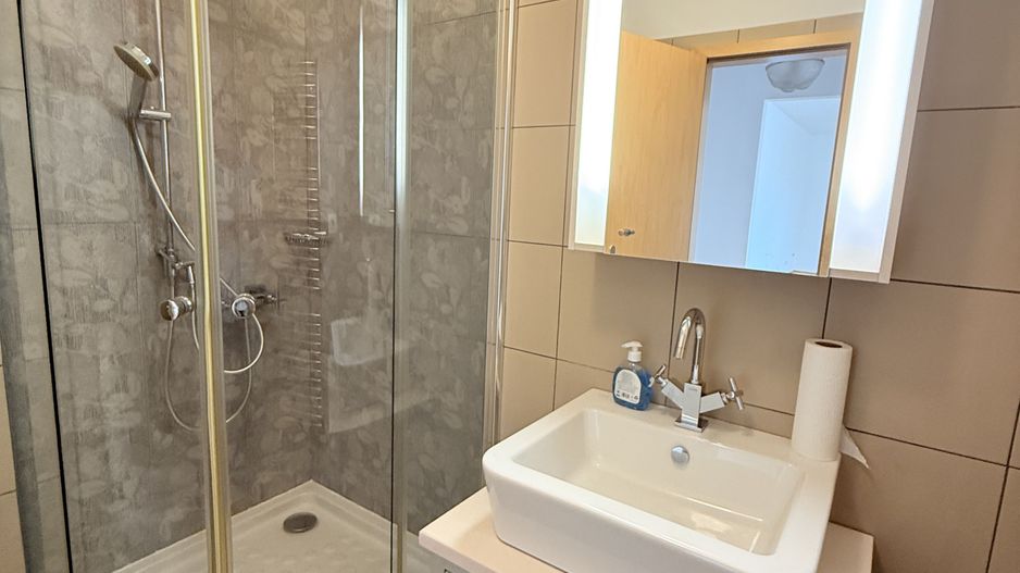APARTAMENT DEOSEBIT ADIACENT CALEA VICTORIEI - Poză 9