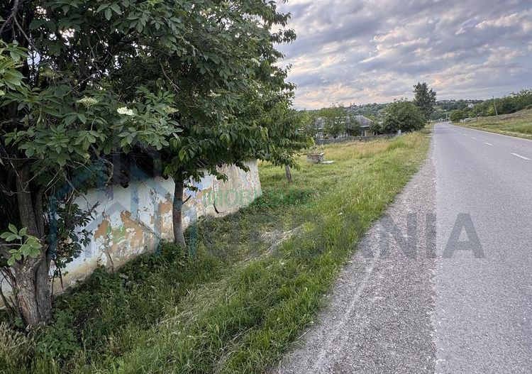 Teren intravilan de 6000 mp in Coarnele Caprei, Valea Babei, cu iesire la strada principala - Poză 3
