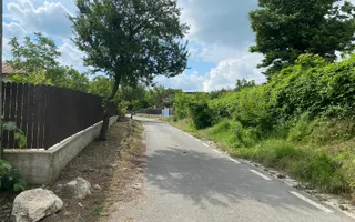 Domeniu 15.900 mp în Fințești | Casă + Investiție Dealu Mare - Poză 23