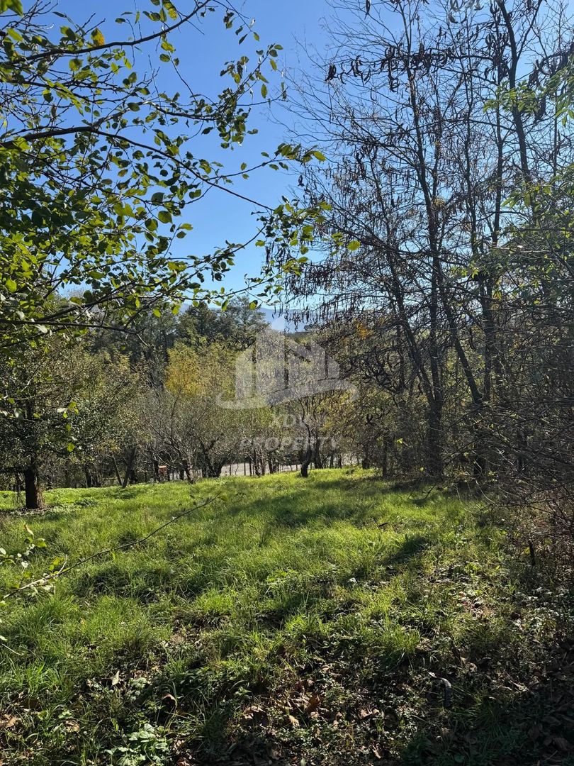 Teren in zona turistica Porumbacu de Sus - Poză 5