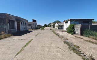 Spațiu industrial -fermă Orțișoara - Poză 9