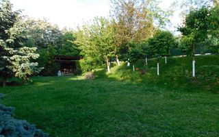 Vilă cu 1.350 mp teren în mijlocul orașului Grădina Botanică - Poză 18