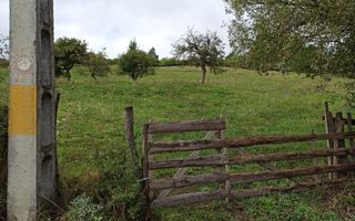 Teren intravilan 12600 mp-utilitati-ideal case, investitie-Livezile - Poză 5