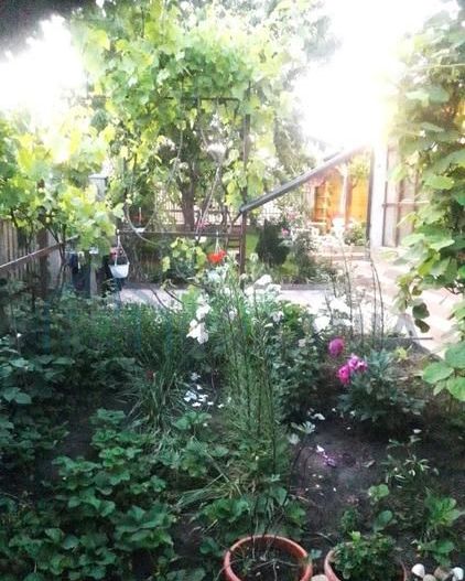 VILA INDIVIDUALA, P. fizică, Su 165 mp si TEREN 500 mp, POPAS PACURARI - Poză 15