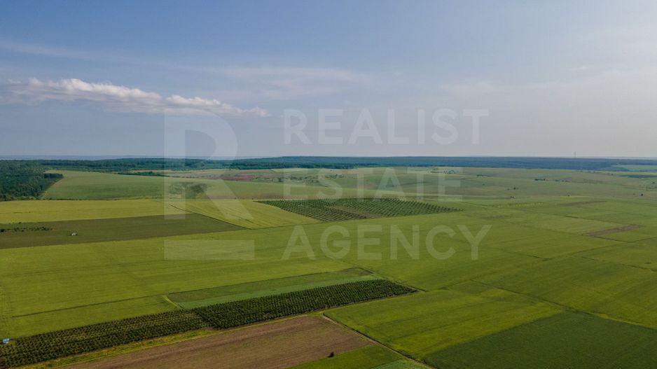 Vînzare, teren agricol, 25,3 ha, s. Peresecina, Orhei. - Poză 4