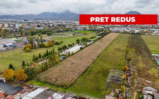 Teren industrial- Timișul Sec oportunitate investițională - Poză 5