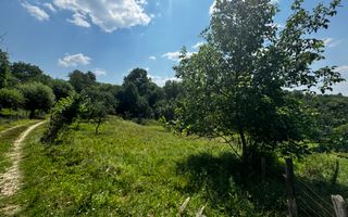 TEREN INTRAVILAN 2146 MP, ALBESTII DE MUSCEL, ARGES - Poză 6