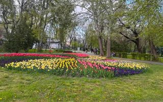 De inchiriat apartament cu 2 camere, etaj 2, Gradina Publica, 400 euro - Poză 1